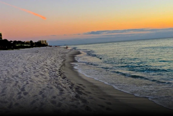 5 of the Most Picturesque Beaches In Sarasota For A Fantastic Florida Vacation!