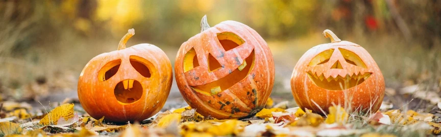 A Brief History of Halloween – All You Need to Know!