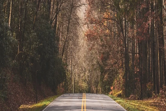 Blue Ridge Parkway