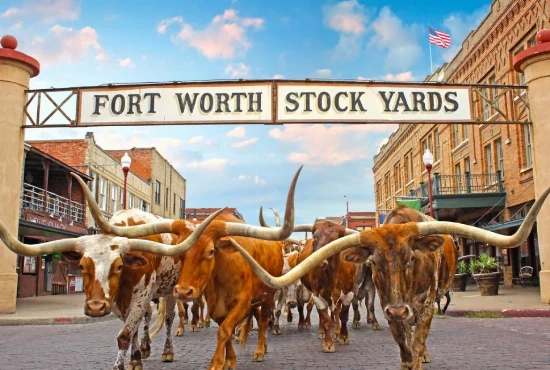 Fort Worth Travel Guide: Explore the Best of the City