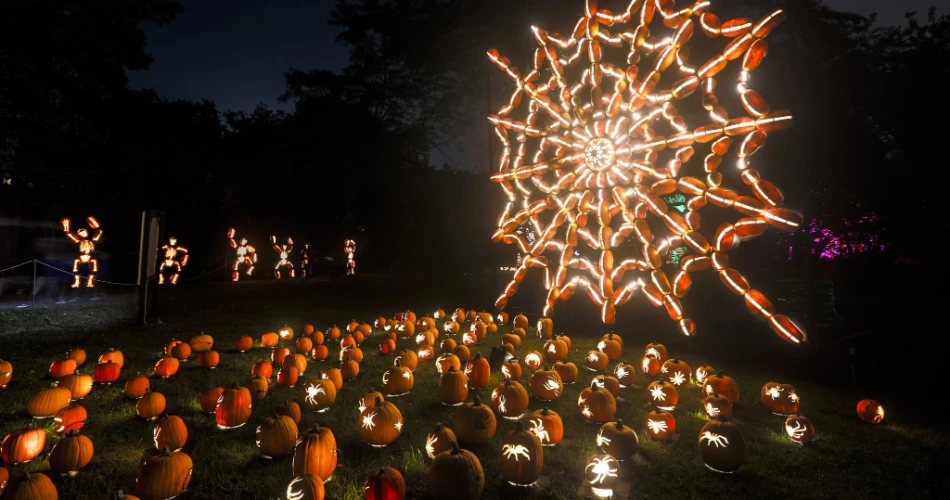 The Best Fall Activities in NYC To Do with The Arrival of Autumn