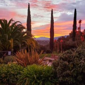 Private Ranch Resort Vineyard View and Infinity Pool California