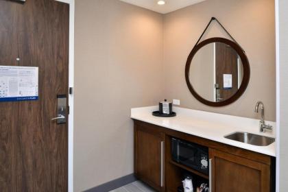 Hampton Inn & Suites Adrian Mi - image 4