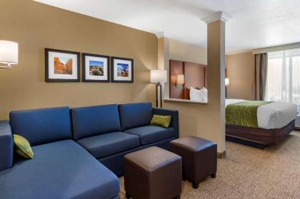 Comfort Suites Albuquerque Airport - image 9