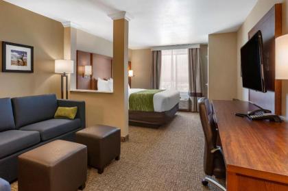 Comfort Suites Albuquerque Airport - image 11