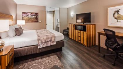 Best Western Cedar Inn & Suites - image 12