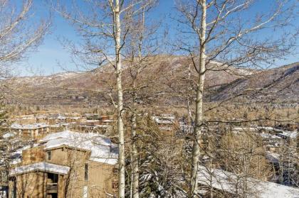 Standard Two Bedroom - Aspen Alps #505 - image 13