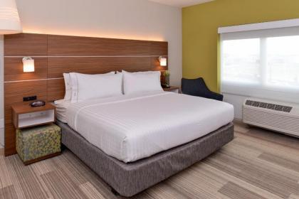 Holiday Inn Express & Suites - St. Petersburg - Madeira Beach an IHG Hotel - image 8