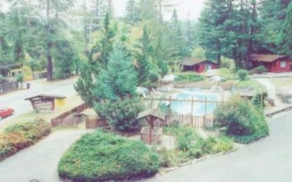 Jayes Timberlane Resort - image 3