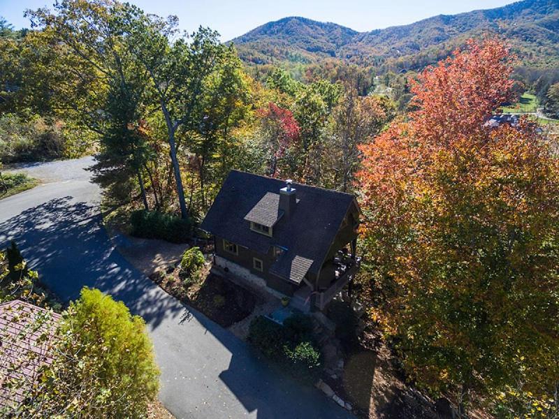 Dogwood Treehouse - image 5