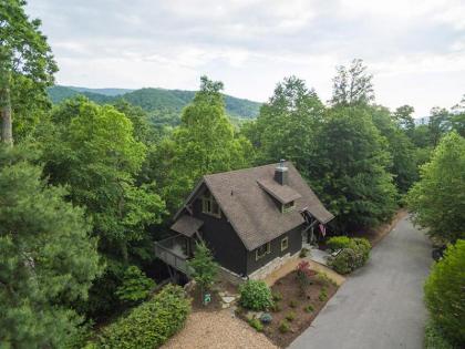 Dogwood Treehouse - image 6