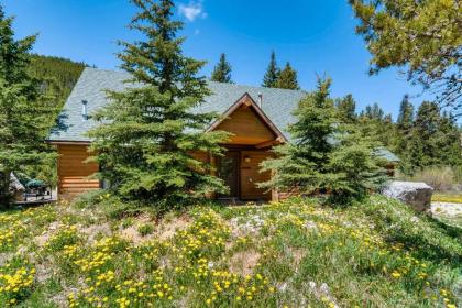 98 Mountain View Trail Cabin