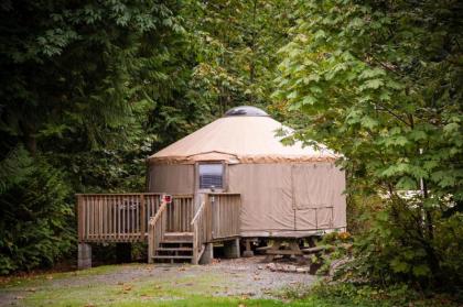 Mount Vernon Camping Resort 20 ft. Yurt 1