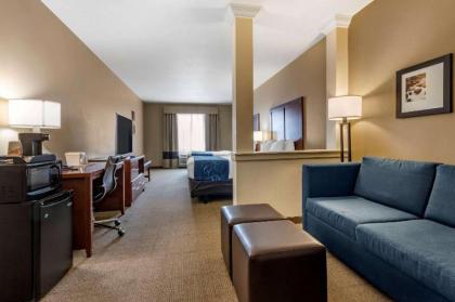 Comfort Suites Airport-University - image 11