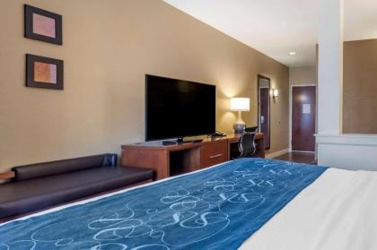 Comfort Suites Airport-University - image 14