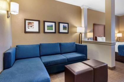 Comfort Suites Airport-University - image 15