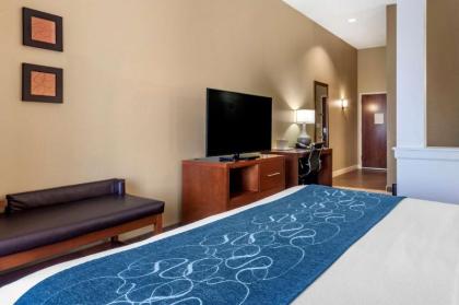 Comfort Suites Airport-University - image 6