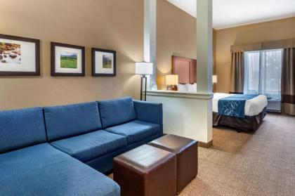 Comfort Suites Airport-University - image 9