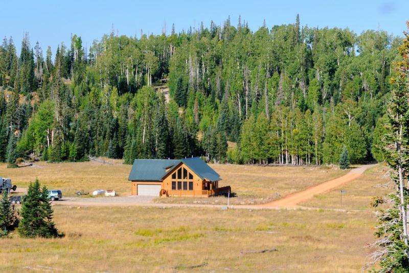 Cabin on the Prairie - image 4