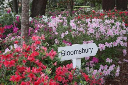 Bloomsbury Inn South Carolina