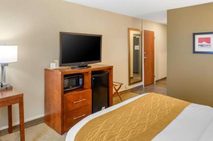 Comfort Inn Monticello - image 9