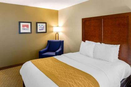 Comfort Inn Monticello - image 10