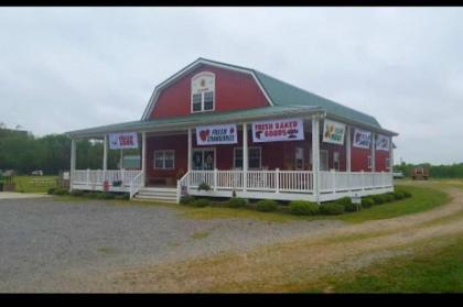 Nestled In The Country Apt 1 - image 8