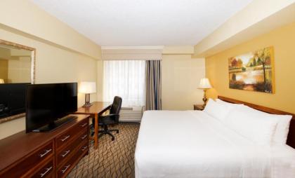 Holiday Inn Hotel & Suites Chicago - Downtown an IHG Hotel - image 12