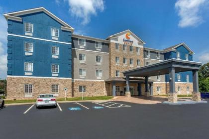 Comfort Suites - image 7