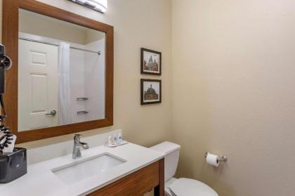 Comfort Suites - image 11