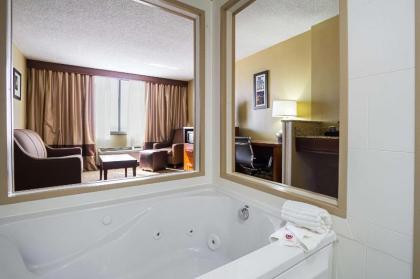 Comfort Inn Downtown Cleveland - image 7