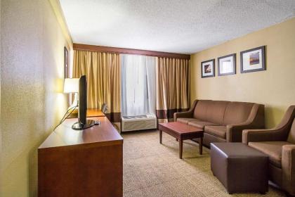 Comfort Inn Downtown Cleveland - image 11