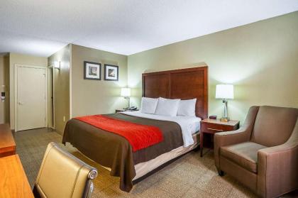 Comfort Inn Downtown Cleveland - image 12