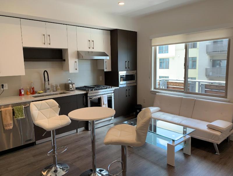 Luxury Cupertino Apartment - Cars Available - image 3