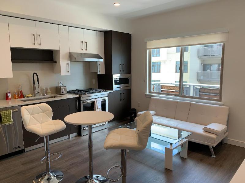 Luxury Cupertino Apartment - Cars Available - image 7