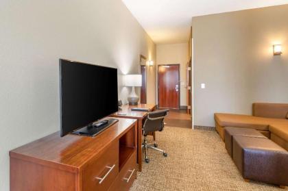 Comfort Suites Near Denver Downtown - image 12