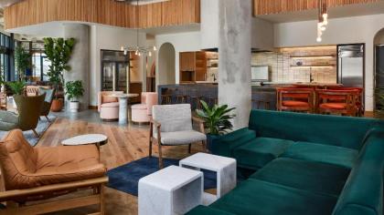 The Catbird Hotel - image 3