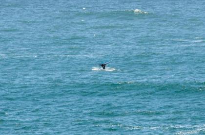 Holiday homes in Depoe Bay Oregon