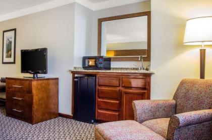 Comfort Inn & Suites Durango - image 9