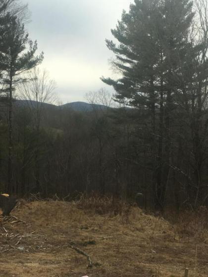 Cozy Cabin in the Catskills - image 9