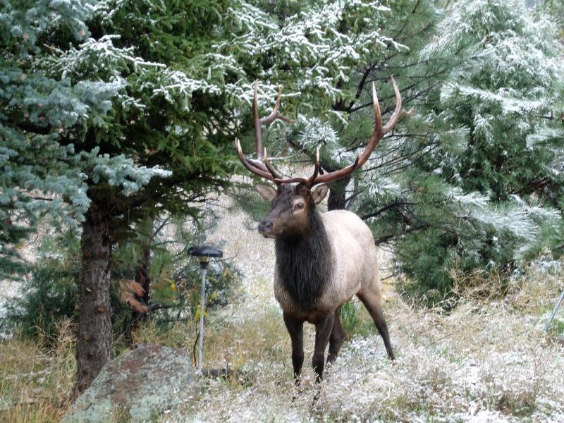 Estes Lake Lodge - image 4