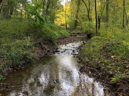 Tentrr Signature Site - The Rest on Dobbins Creek