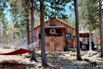 Lil' Frying Pan Cabin