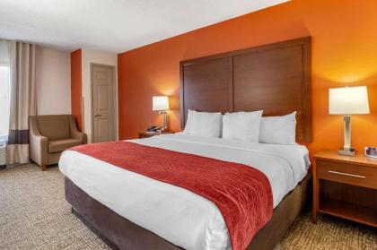 Comfort Inn Greensboro - Kernersville - image 11