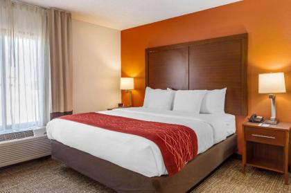 Comfort Inn Greensboro - Kernersville - image 12