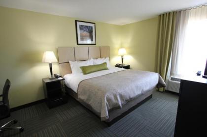 Candlewood Suites Greenville an IHG Hotel - image 8