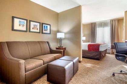 Comfort Suites Gulfport - image 9