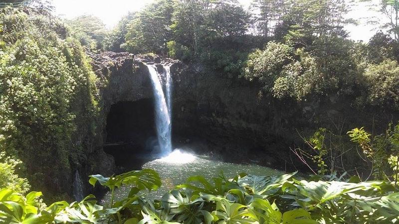 Shaka Shak Garden Inn - image 6