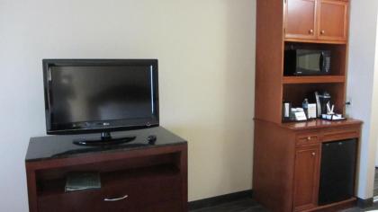 Hilton Garden Inn Houston/Bush Intercontinental Airport - image 13