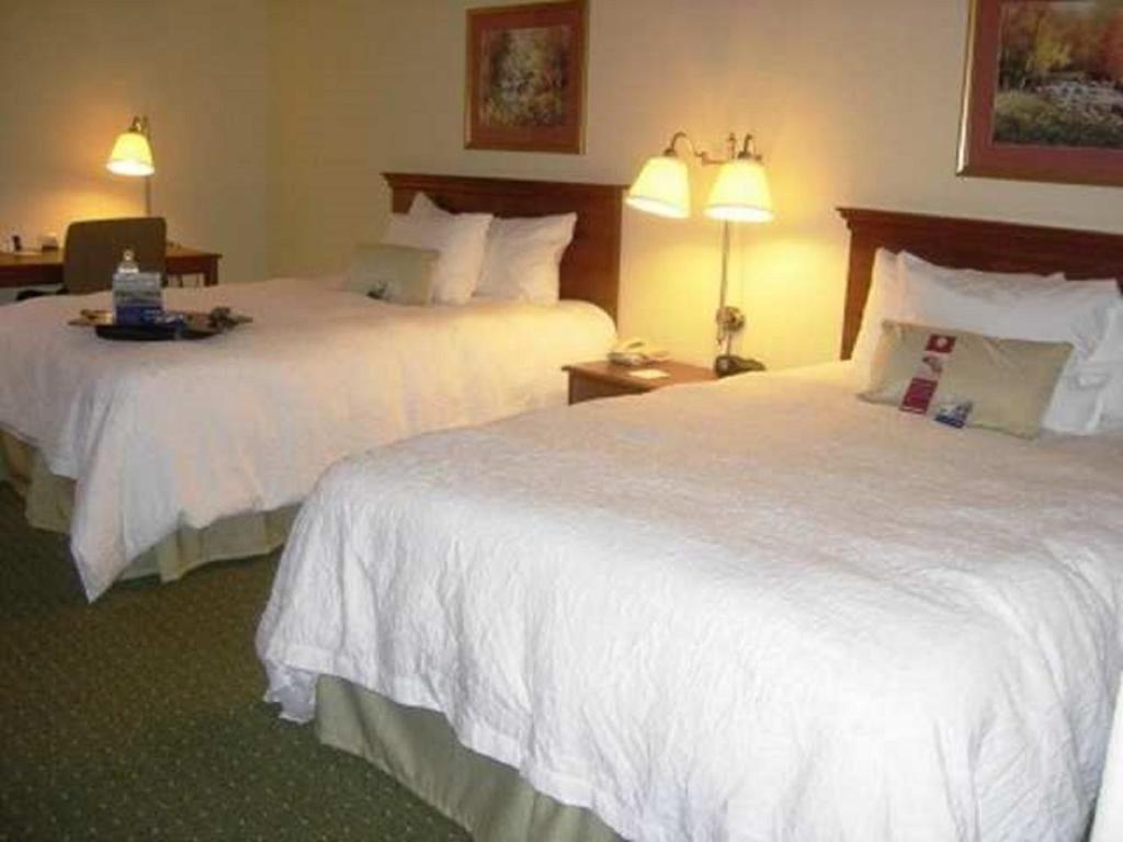 Hampton Inn & Suites Houston-Cypress Station - image 3